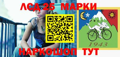 Альфа ПВП Жуковский