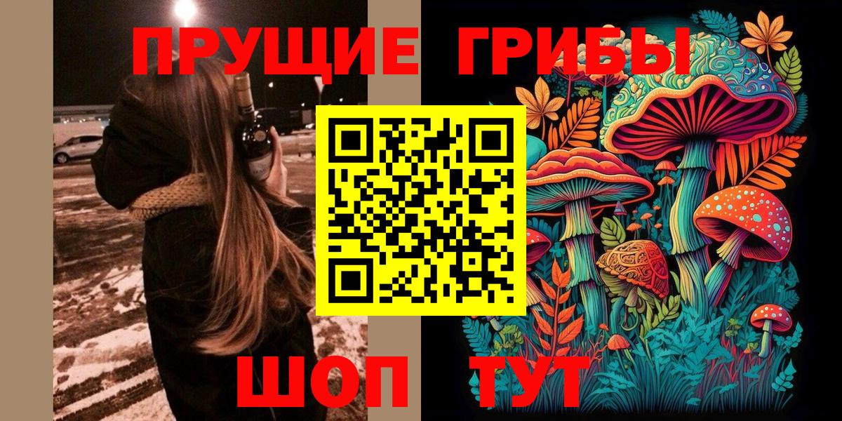 как найти закладки  Вход с VPN  Буйнакск  Галлюциногенные грибы Magic Shrooms 