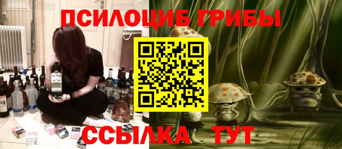 Псилоцибиновые грибы MAGIC MUSHROOMS Буйнакск